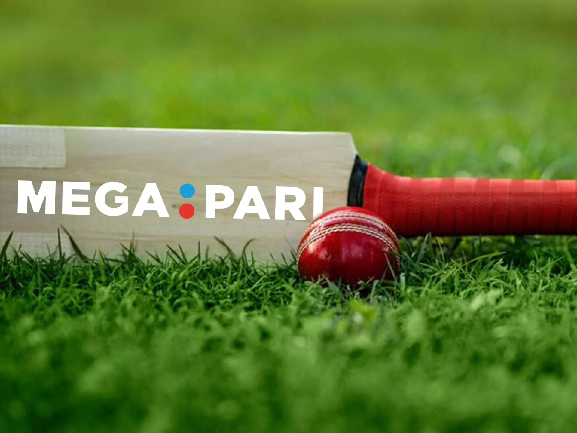 Bet on cricket using the Megapari app.